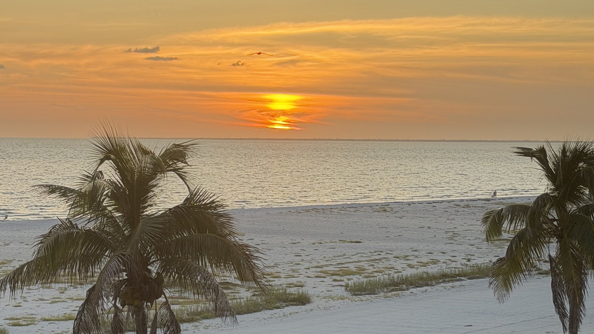 Sunset over the Gulf of Mexico from the lanai at Eden House 403, palms above the white sand