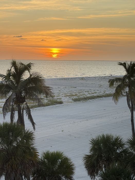 Sunset over the Gulf of Mexico seen from the lanai, palms and white sand in the foreground